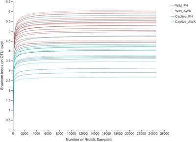 Wild and Captive Environments Drive the Convergence of Gut Microbiota and Impact Health in Threatened Equids